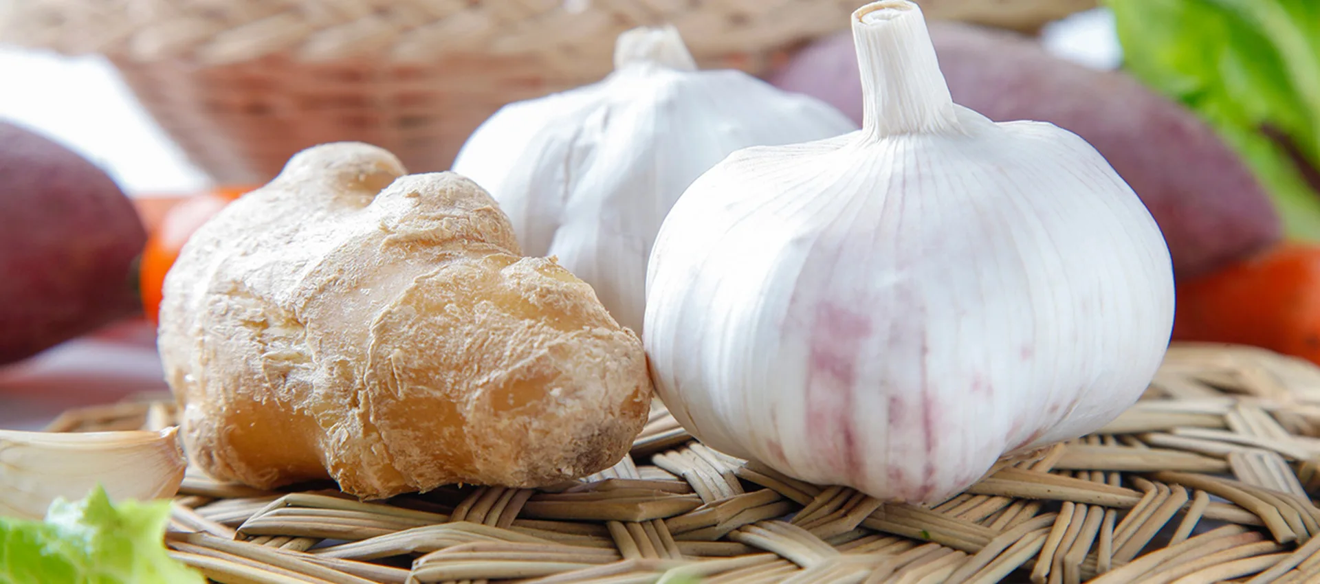 Saina Wholesale Premium Fresh Garlic