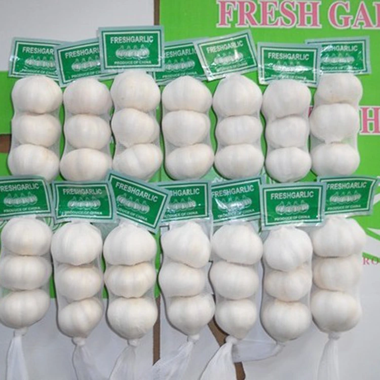 Aisea ua avea ai le Premium Fresh Garlic ma Filifiliga Sili mo Tagata Fa'atau Malamalama Lelei?