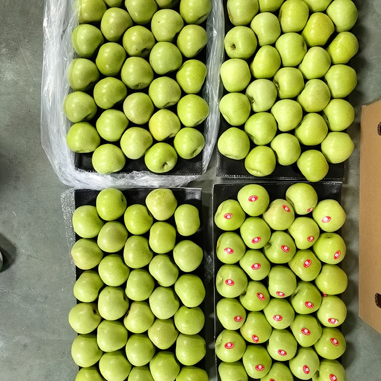Apu lanumeamata malisi ma suamalie