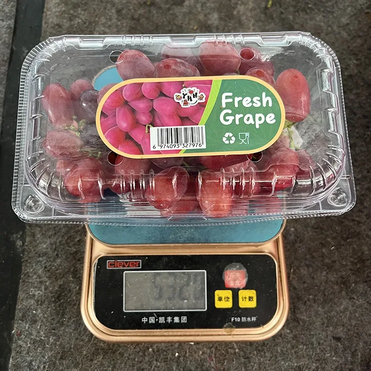 Lafoa'i atu Vasega Crimson Fresh Fua Fua