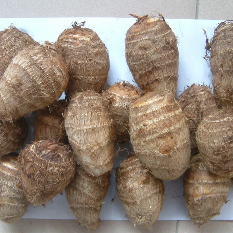 Fa'ato'aga Talo