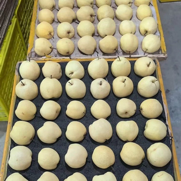 Pears Gong Fu'a Fou