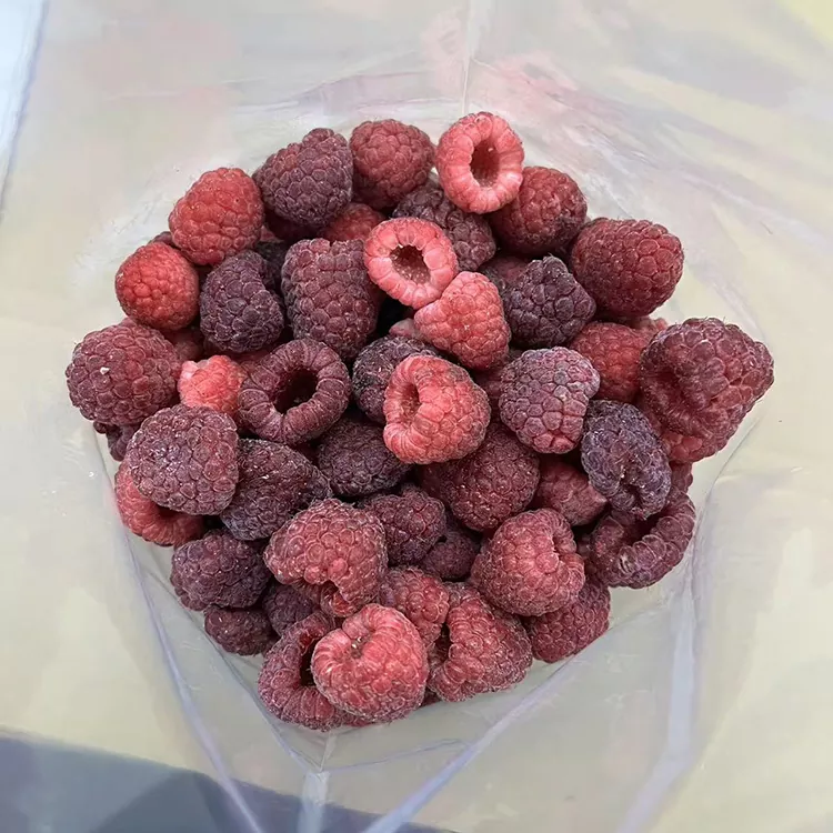 Premium IQF Fully Frozen Red Raspei