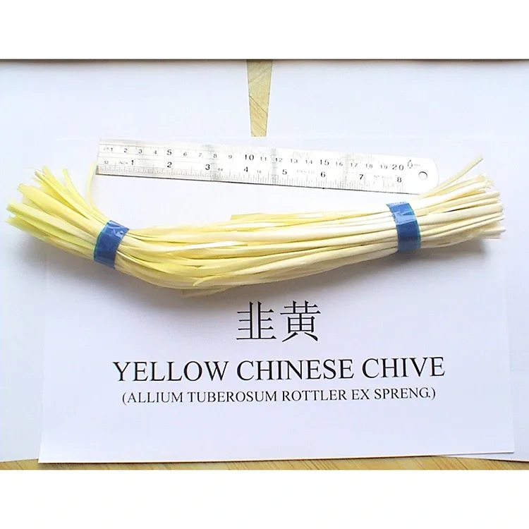 Chives samasama vaivai